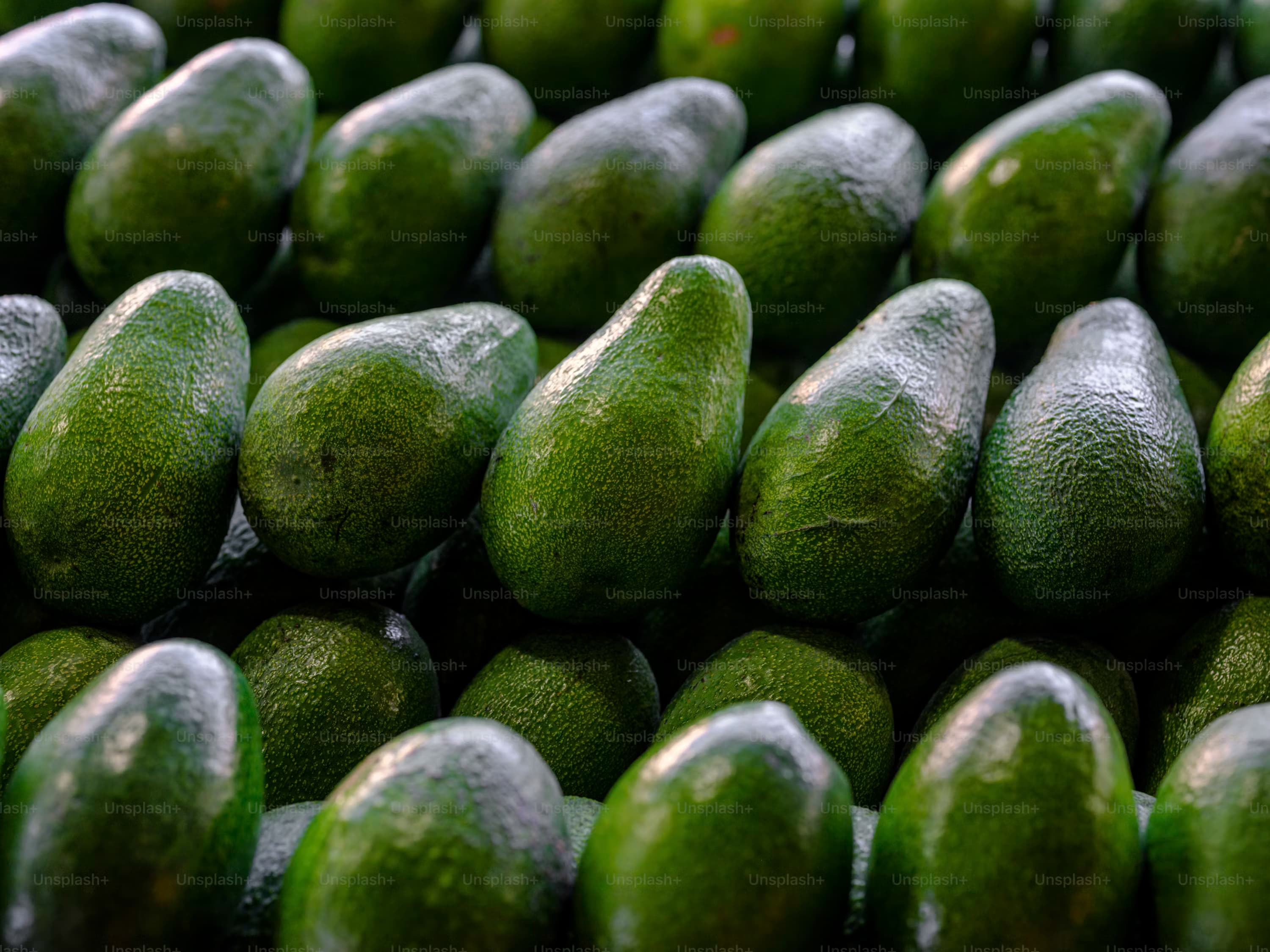 Avocado Pear