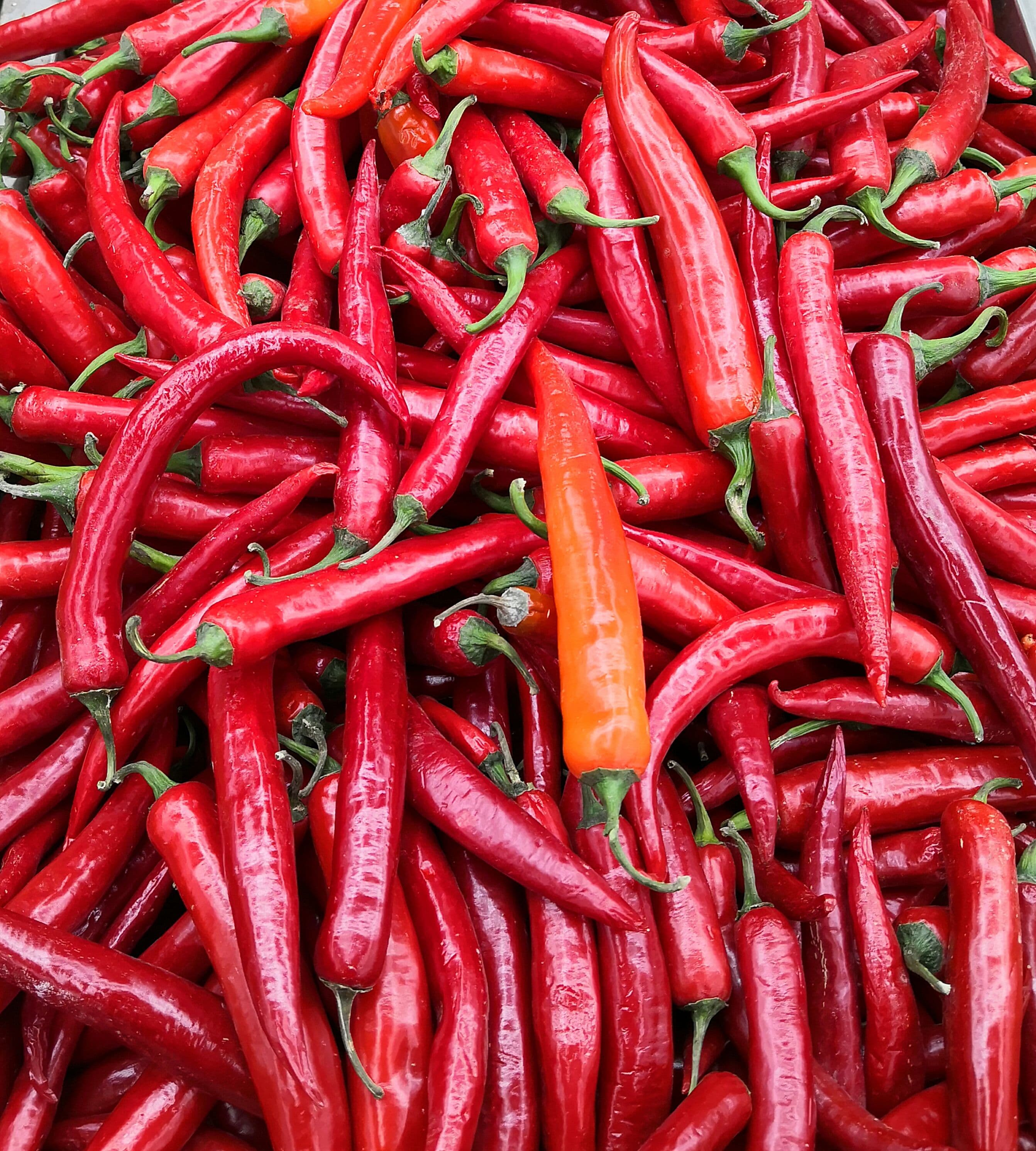 Chilli Pepper