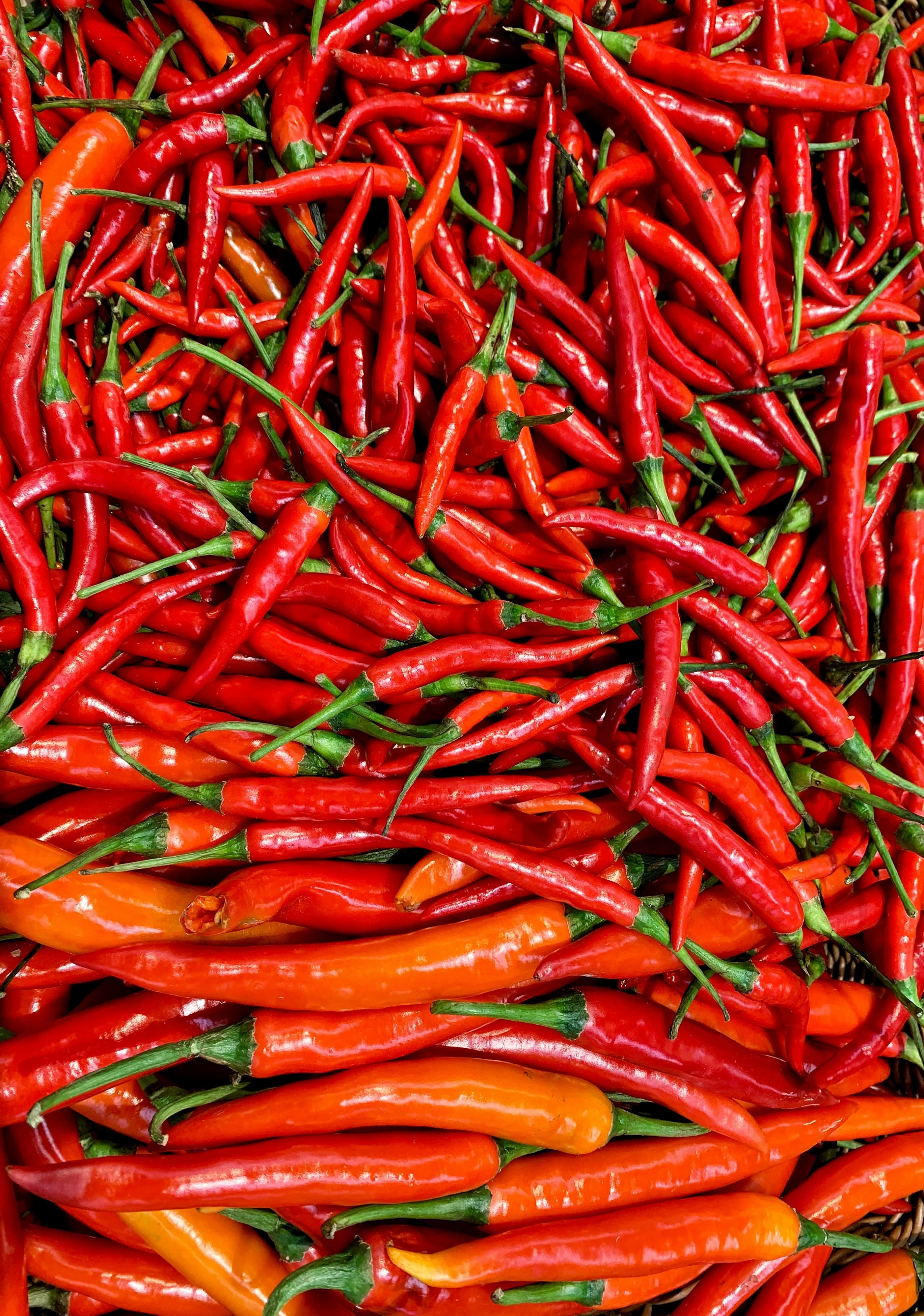Chilli Pepper