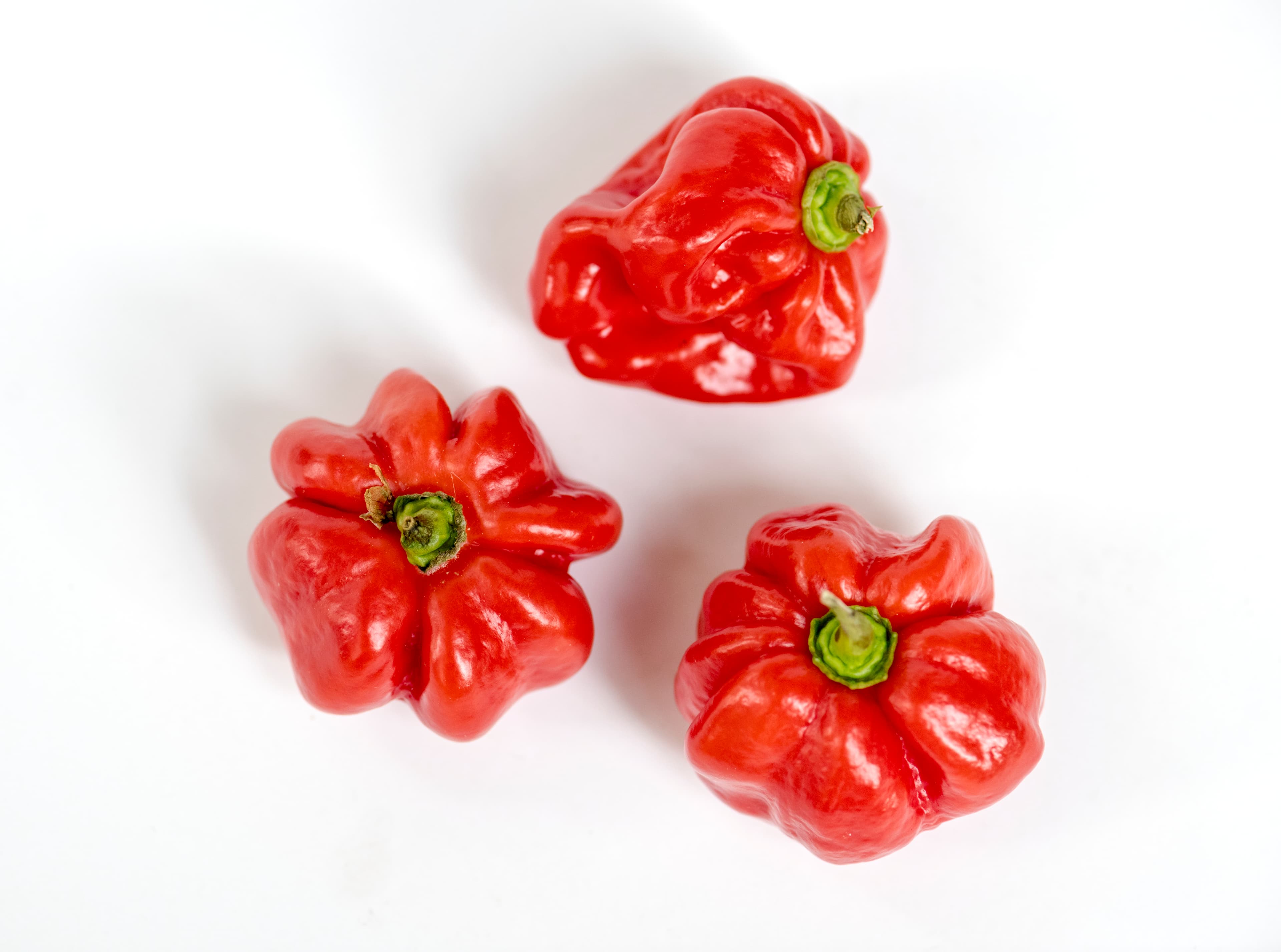 Scotch Bonnet Pepper (Kpakpo shito)