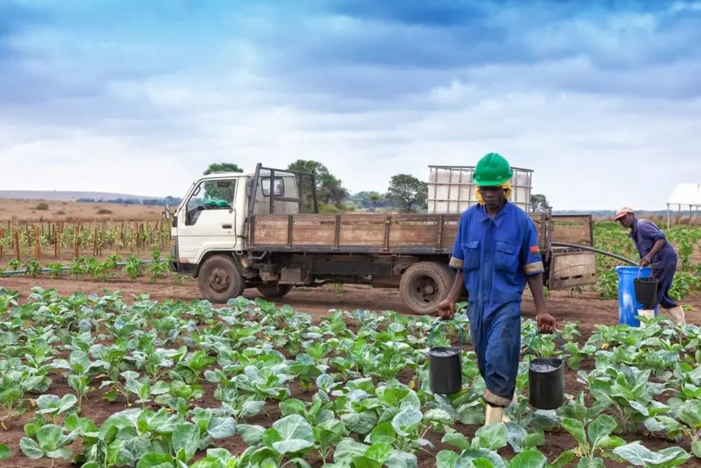 Food grown and handled with care